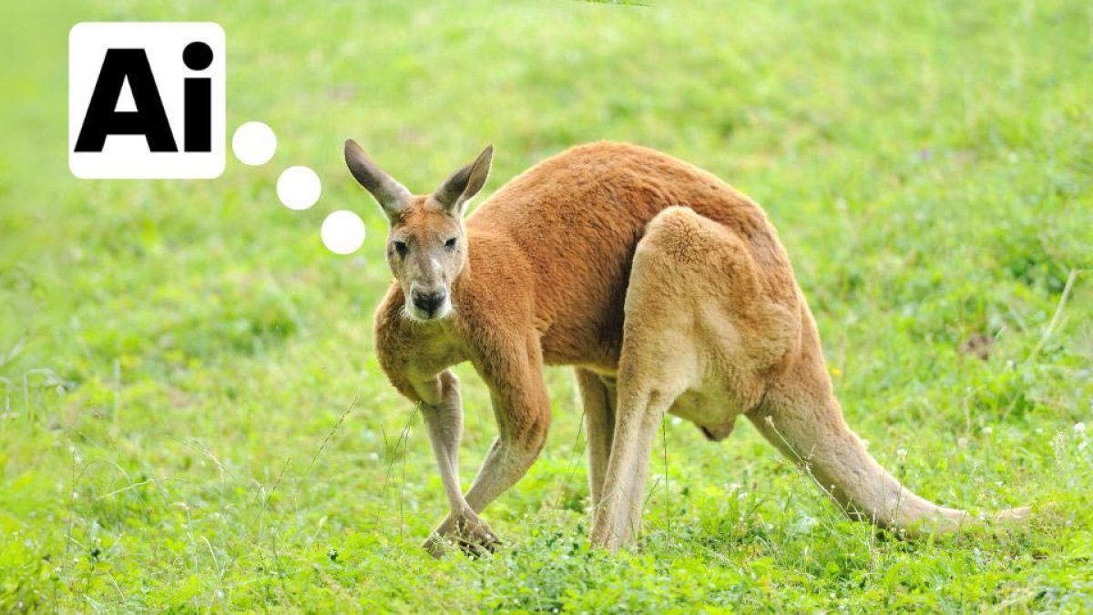 Kangaroo analogy for teachers to explain AI to students